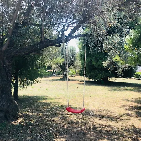 Jennie's Lovely - Malakontas Eretria Nyaraló Malakóndasz